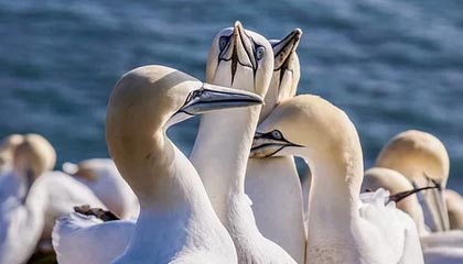 世界杯赛事直播软件下载官网入口-人民日报评武磊：用每一脚球证明自己 需更好融入