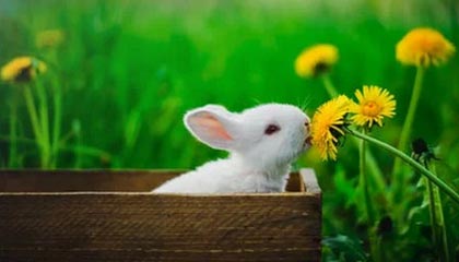 金球奖梦之队11席占3席 足球王国巴西实至名归